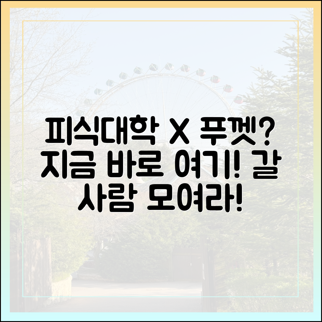 피식대학 셀럽과 푸껫 갈 사람, 여기 맞을까요?