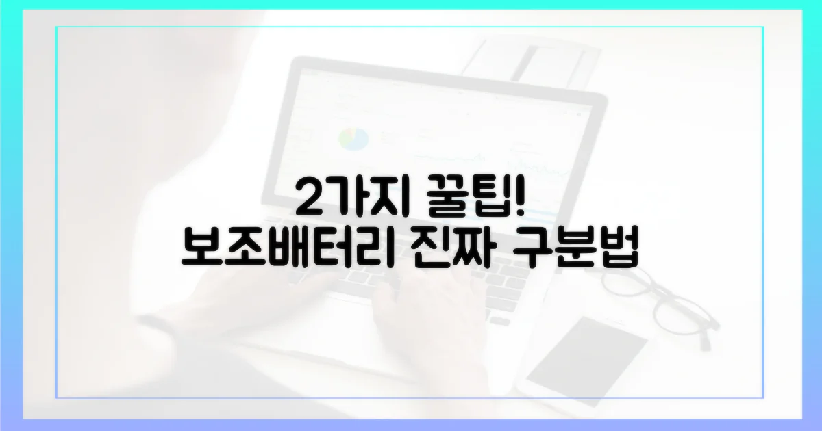2가지 보조배터리 구분법