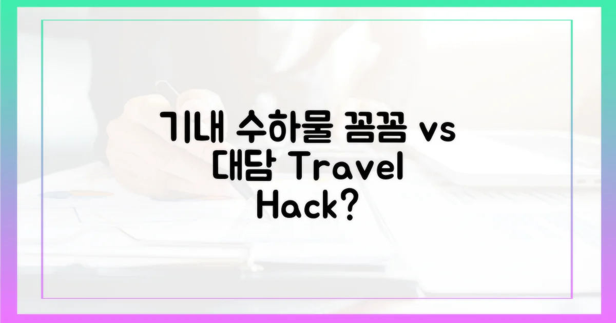 기내 반입, 꼼꼼함 vs 대범함