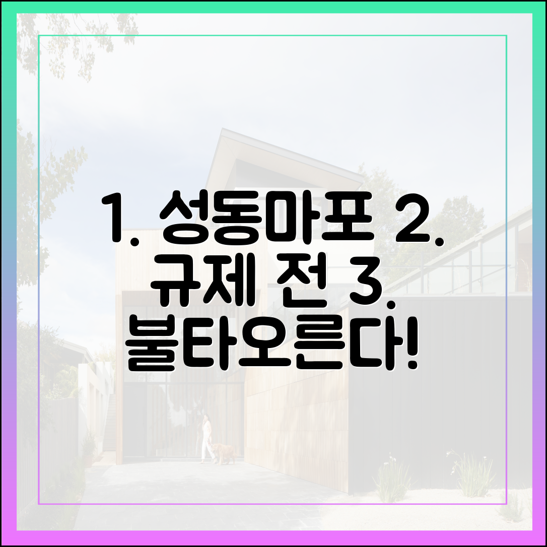 지라시에도 들썩? 성동·마포, 추가 규제 전 불타오르는 이유는?