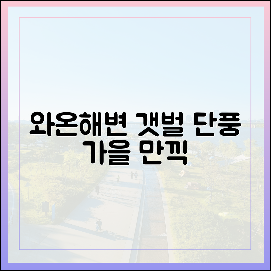 가을빛 와온해변 갯벌단풍 완벽 가이드