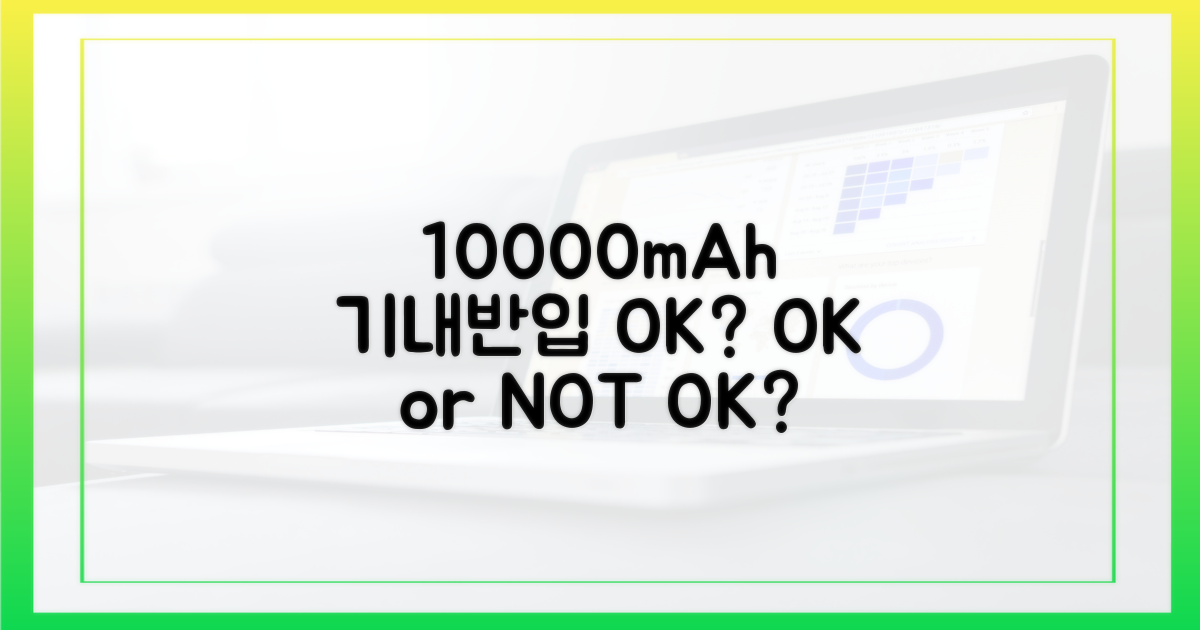 10000mAh 보조배터리, 기내 반입 OK?