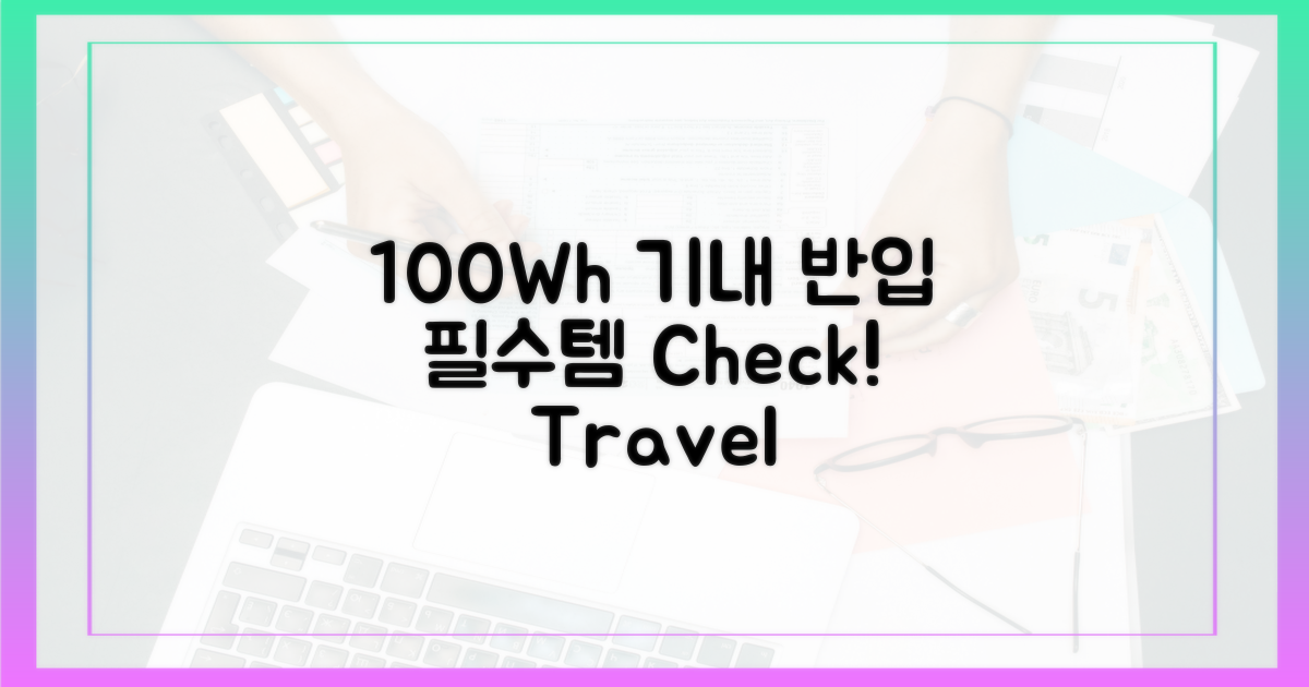 100Wh 이내 기내 반입