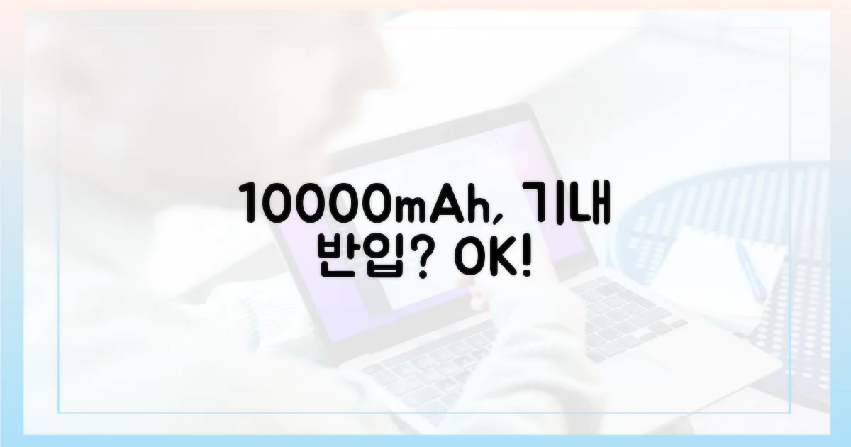 10000mAh, 기내 반입 가능할까?