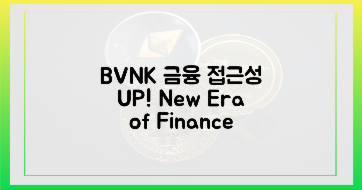 BVNK, 금융 접근성 확대