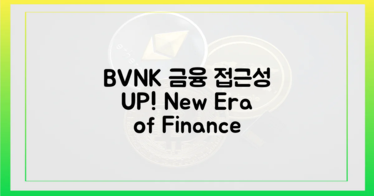 BVNK, 금융 접근성 확대