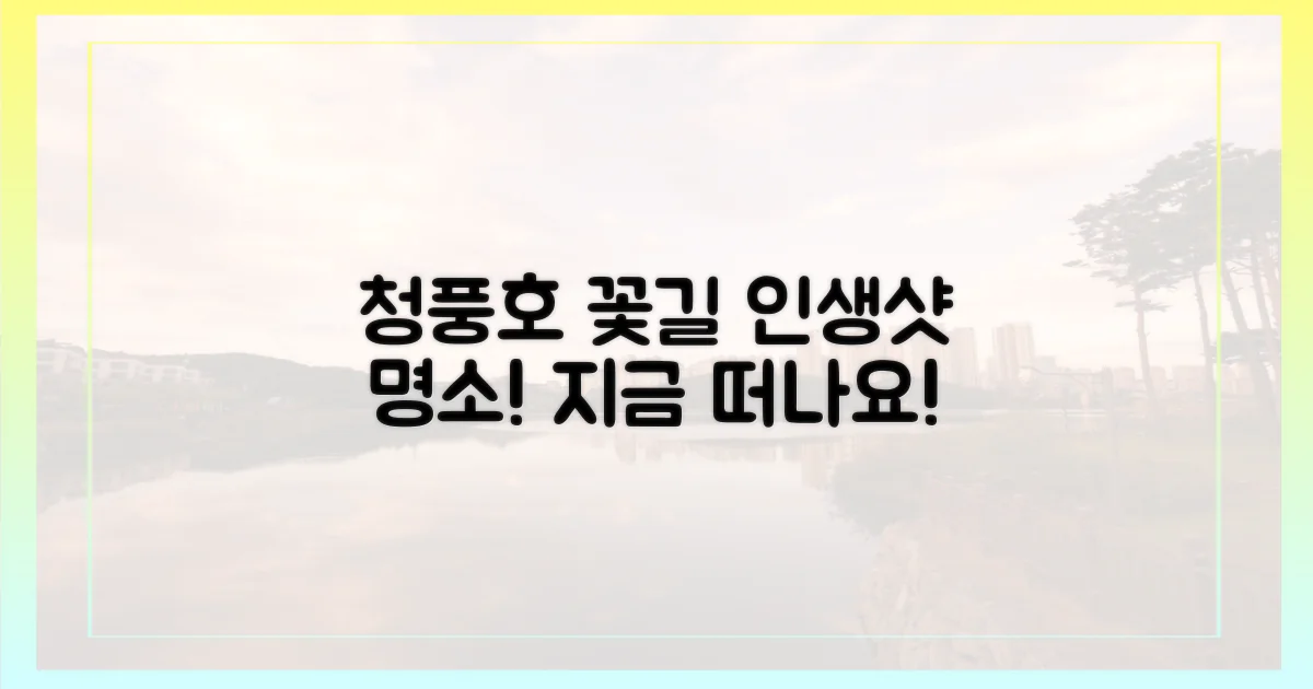 청풍호 꽃길을 걸어봐요!