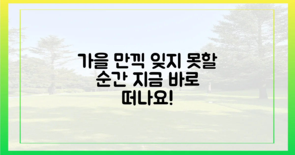 잊지 못할 가을을 만끽해요!