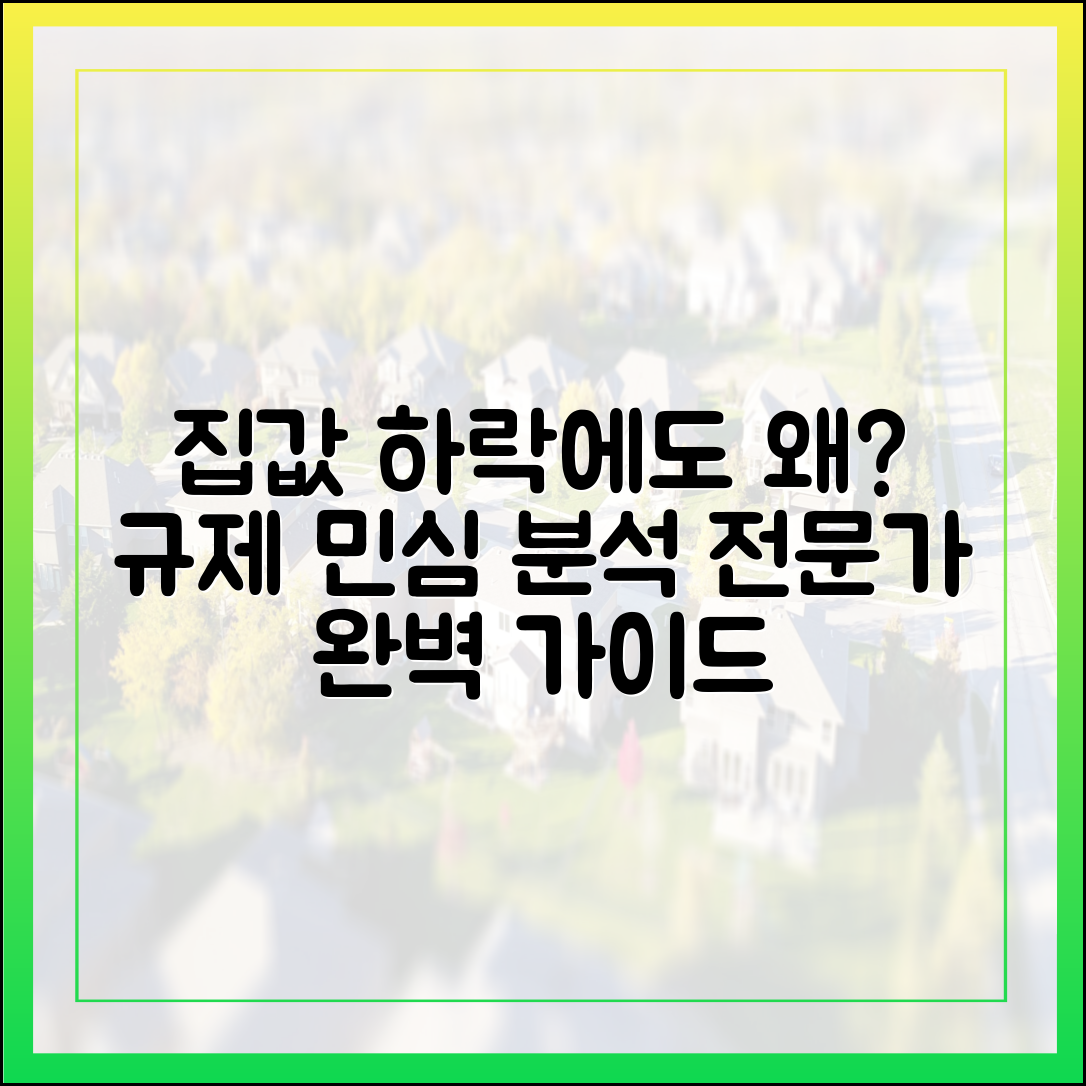집값 하락에도 "왜?"…규제 민심, 전문가 분석 완벽 가이드