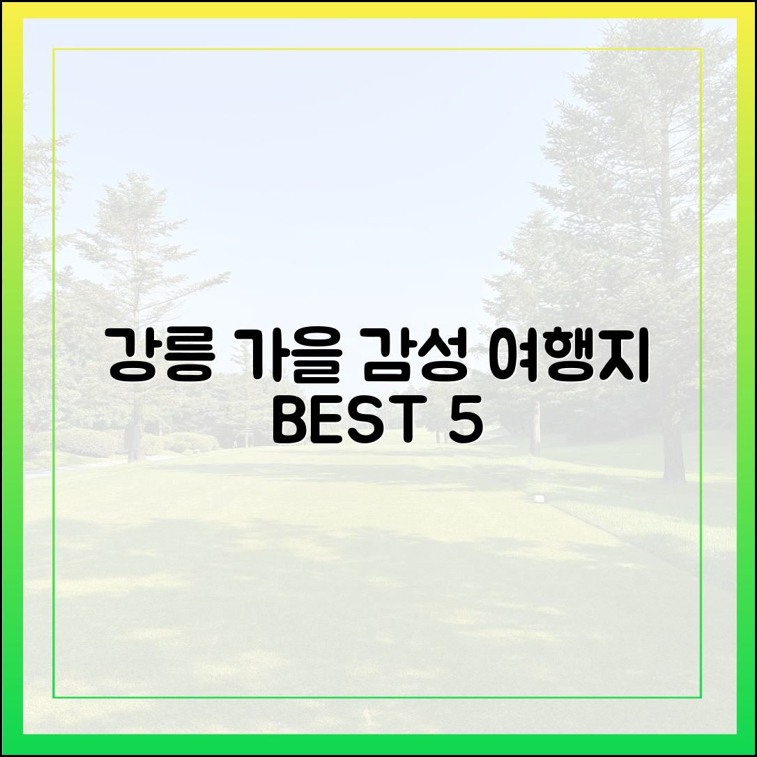 강릉 감성 가을 여행 5곳 추천