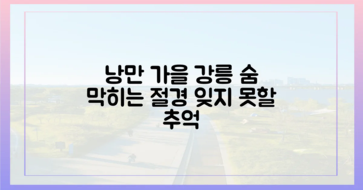 낭만 가득한 강릉의 가을 풍경