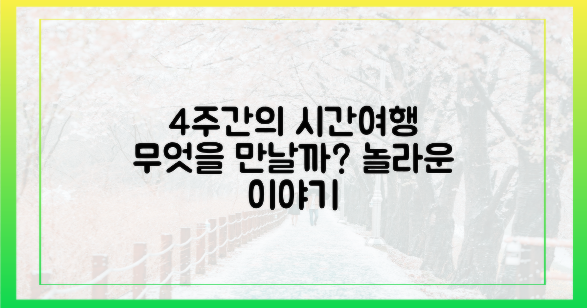 4주간의 시간여행, 무엇을 만나나?