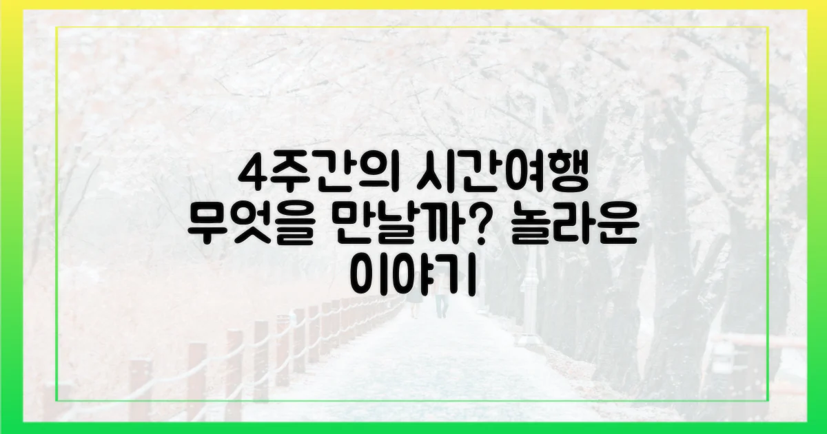4주간의 시간여행, 무엇을 만나나?