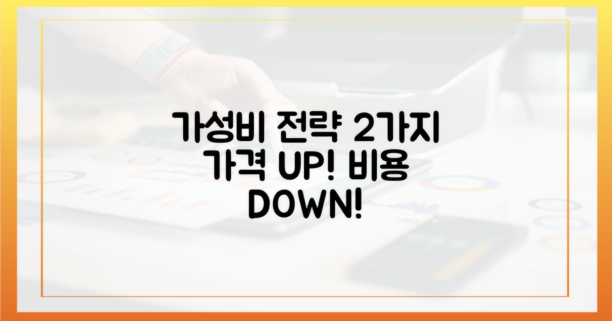 가격: 2가지 가성비 전략