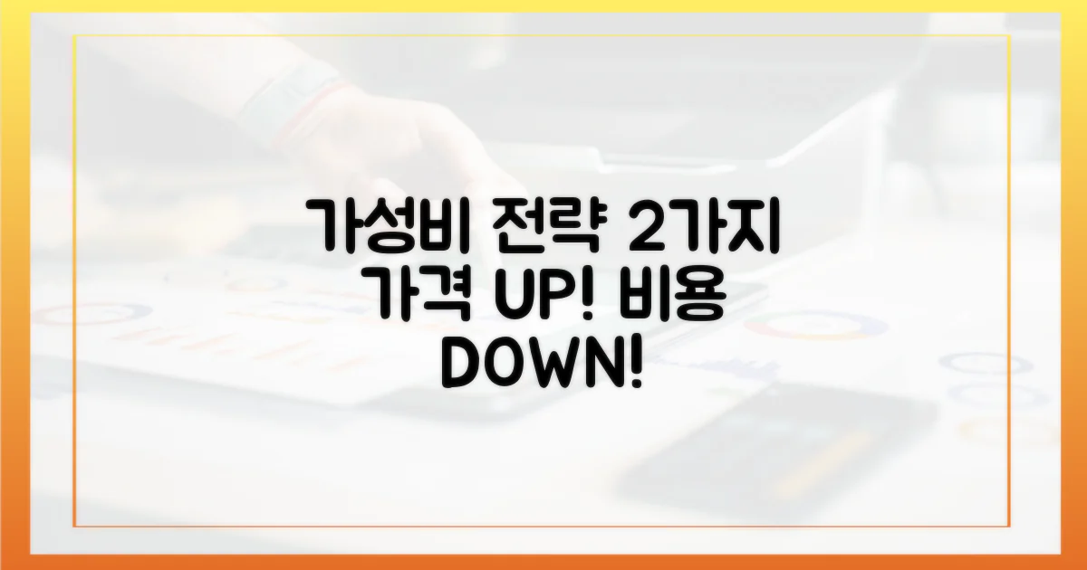 가격: 2가지 가성비 전략