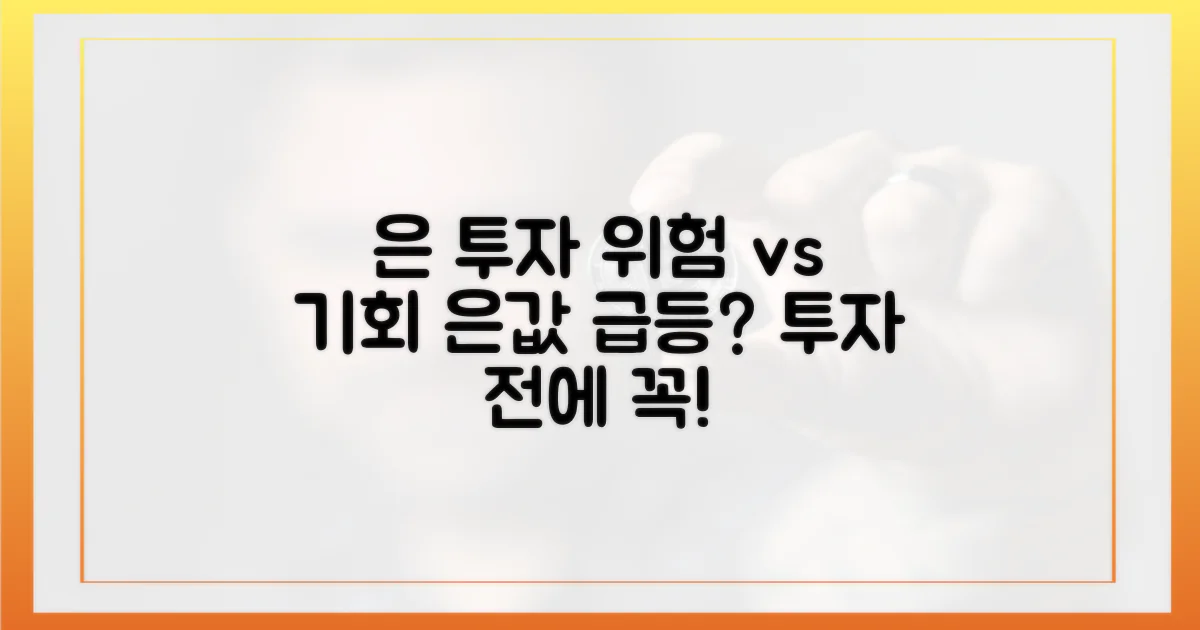 은 투자, 위험과 기회 분석