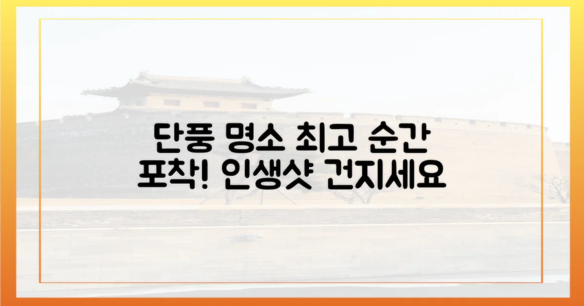 렌즈에 담는 단풍, 최고의 순간 포착