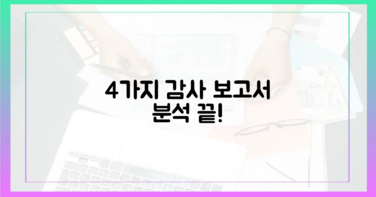 4가지 감사 보고서 분석