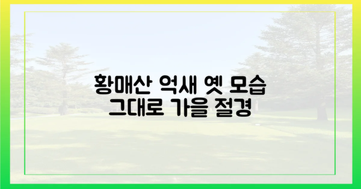 황매산 억새, 옛 모습 그대로