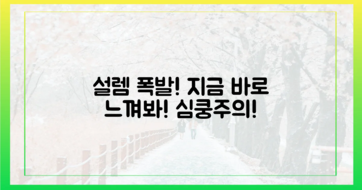 지금 바로 설렘을 느껴보세요!