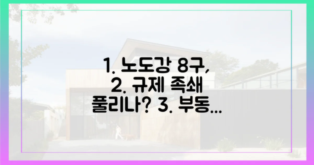 노도강 8구, 규제는 무엇이길래?