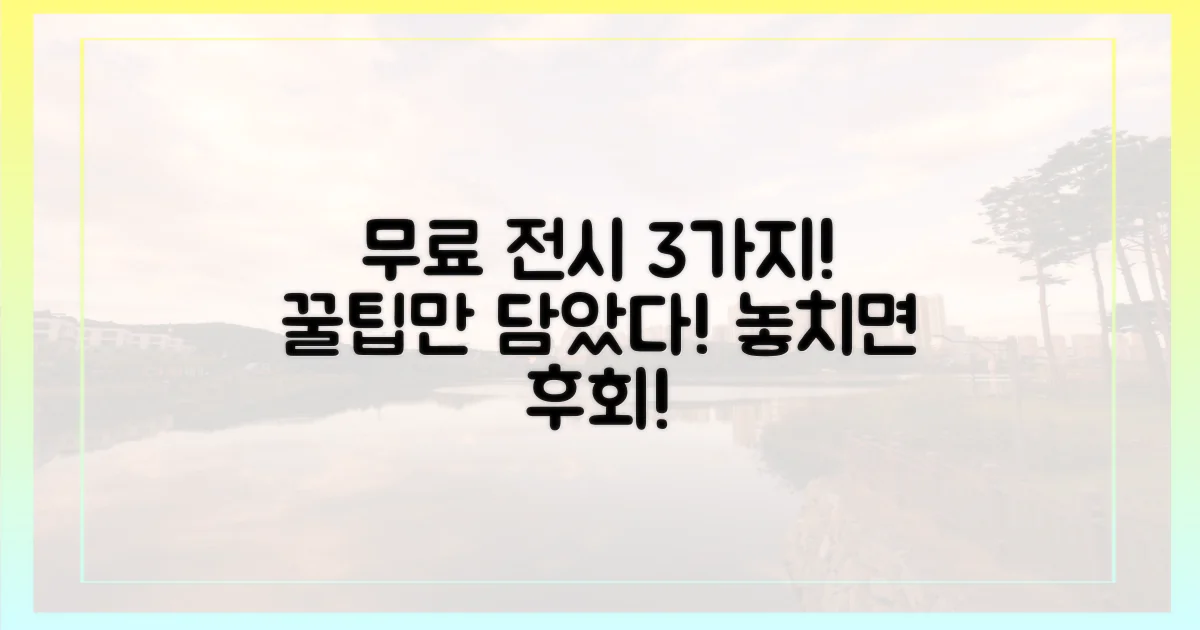 3가지 무료 전시 코스