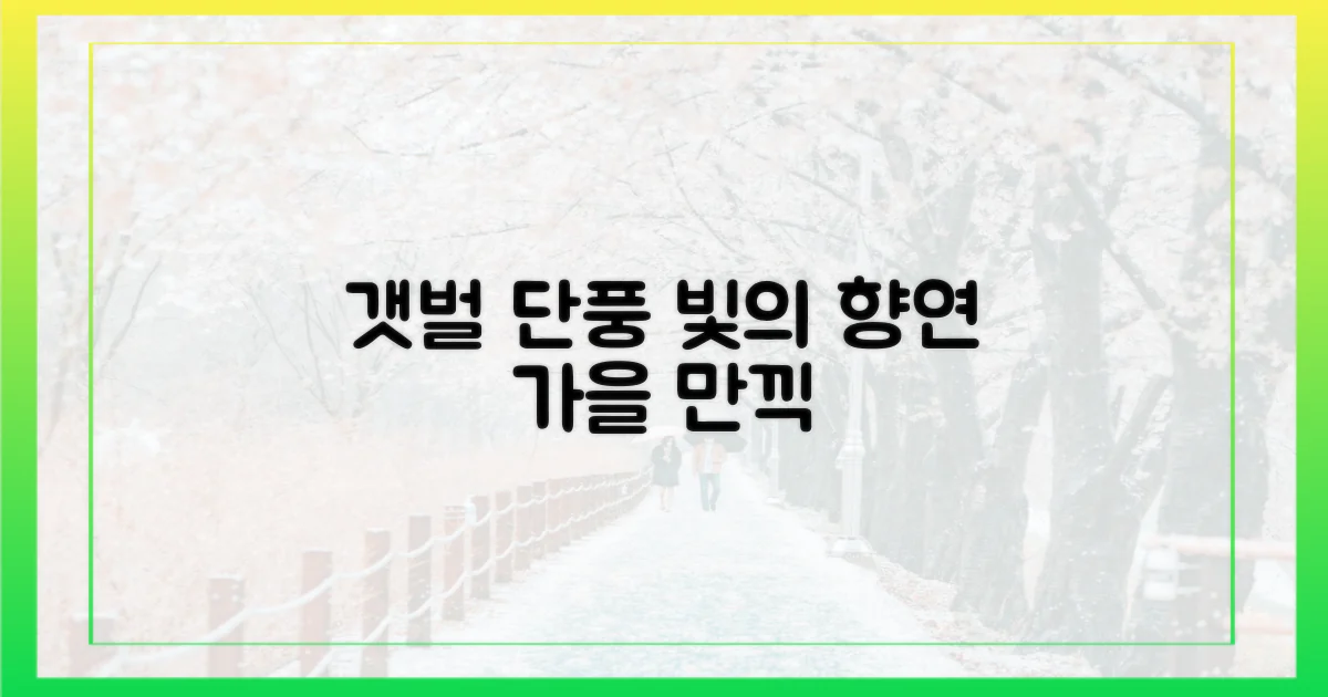 갯벌단풍, 빛의 향연