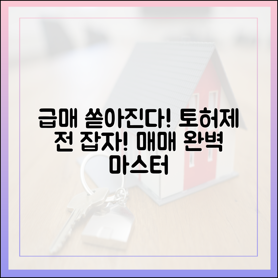 부동산 대책 후 급매 쏟아진다! 토허제 전 매매 마스터 가이드