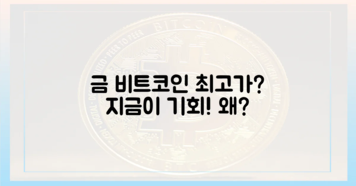 금·비트코인 최고가, 왜 지금인가?