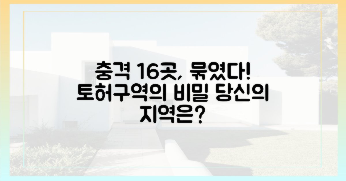 16곳, '토허구역' 묶인 사연