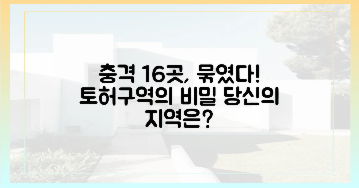 16곳, '토허구역' 묶인 사연