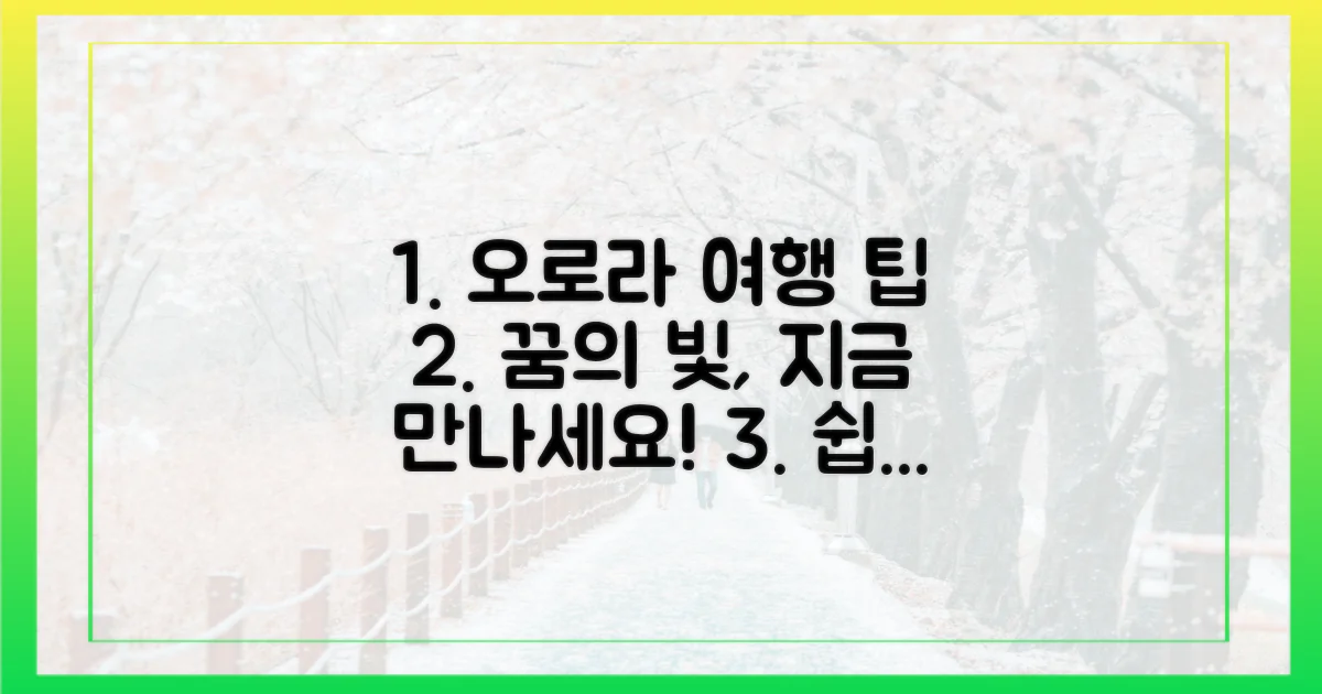 꿈꿔왔던 오로라, 어떻게 만날 수 있을까?