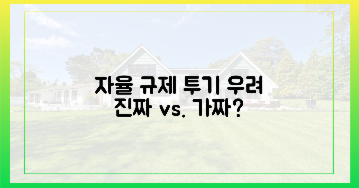 자율 규제, 투기 조장 우려