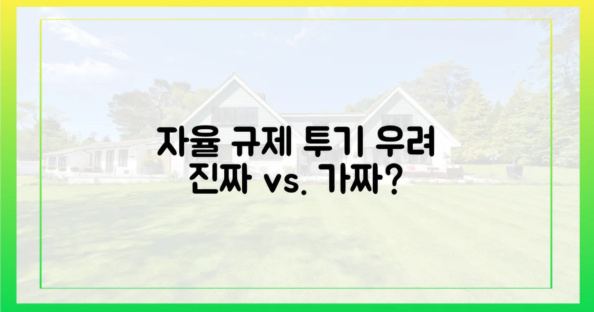 자율 규제, 투기 조장 우려