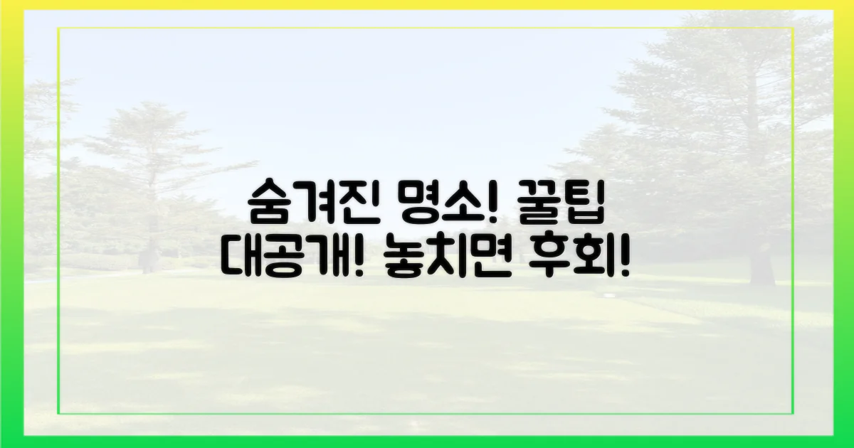 숨겨진 명소, 꿀팁 공개!