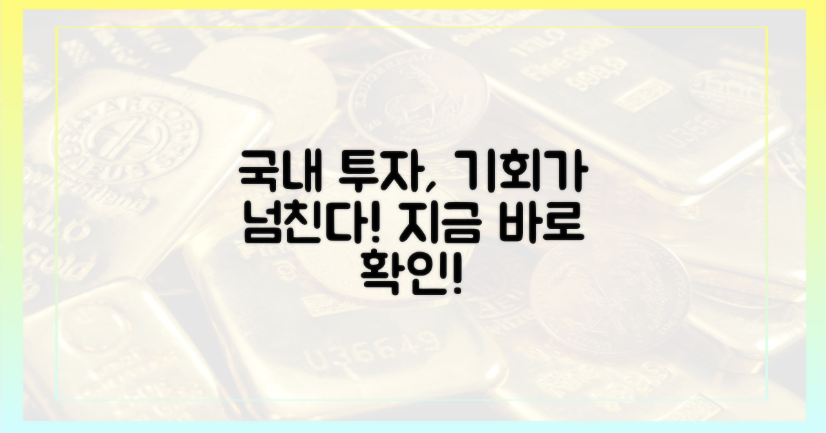 다음 투자, 해외보다 국내를 선택하세요!