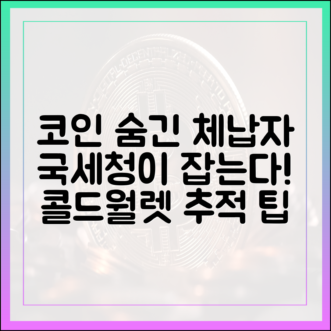 코인 재산 숨기는 체납자 3인방, 국세청 콜드월렛 추적 팁