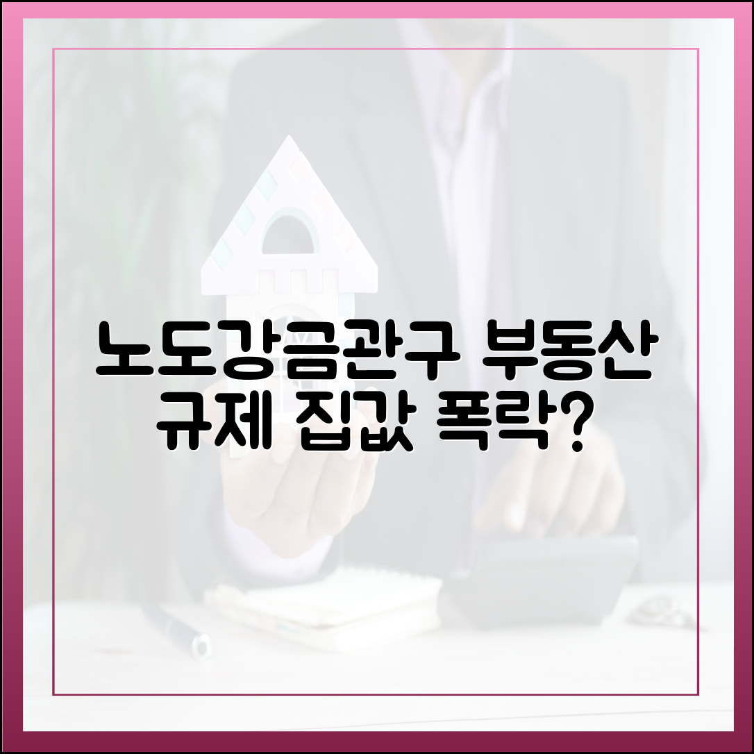노도강·금관구 규제 완벽 가이드: 집값 날벼락?