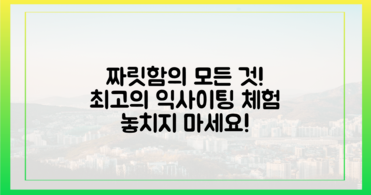 짜릿한 체험의 모든 것