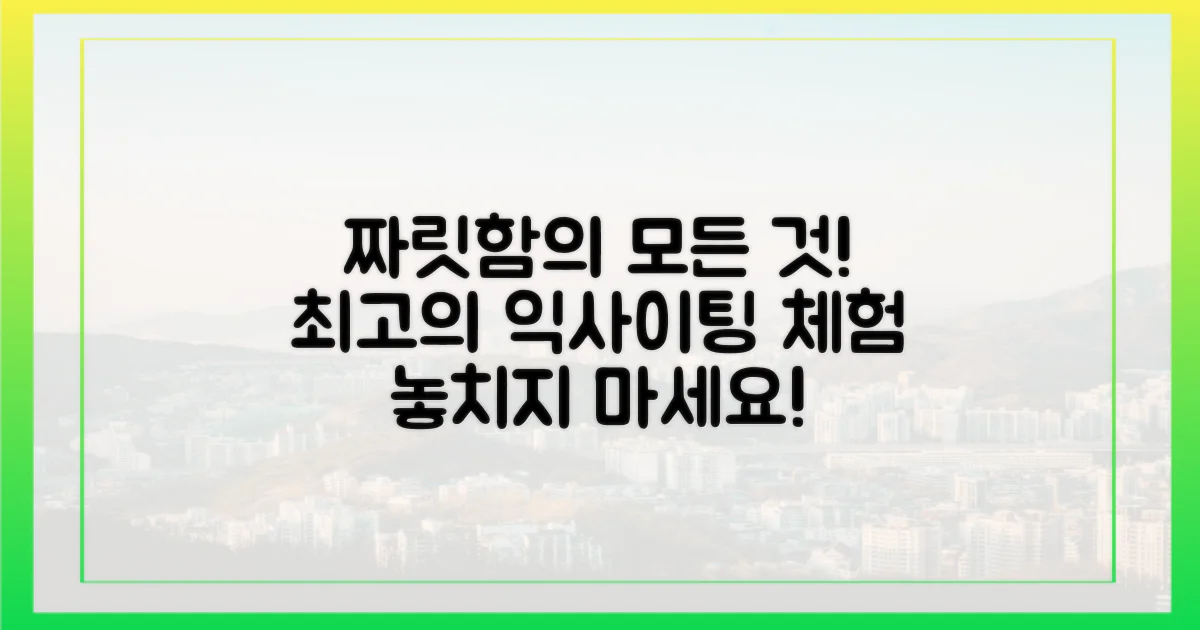 짜릿한 체험의 모든 것