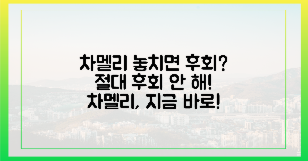 차멜리, 놓치면 후회