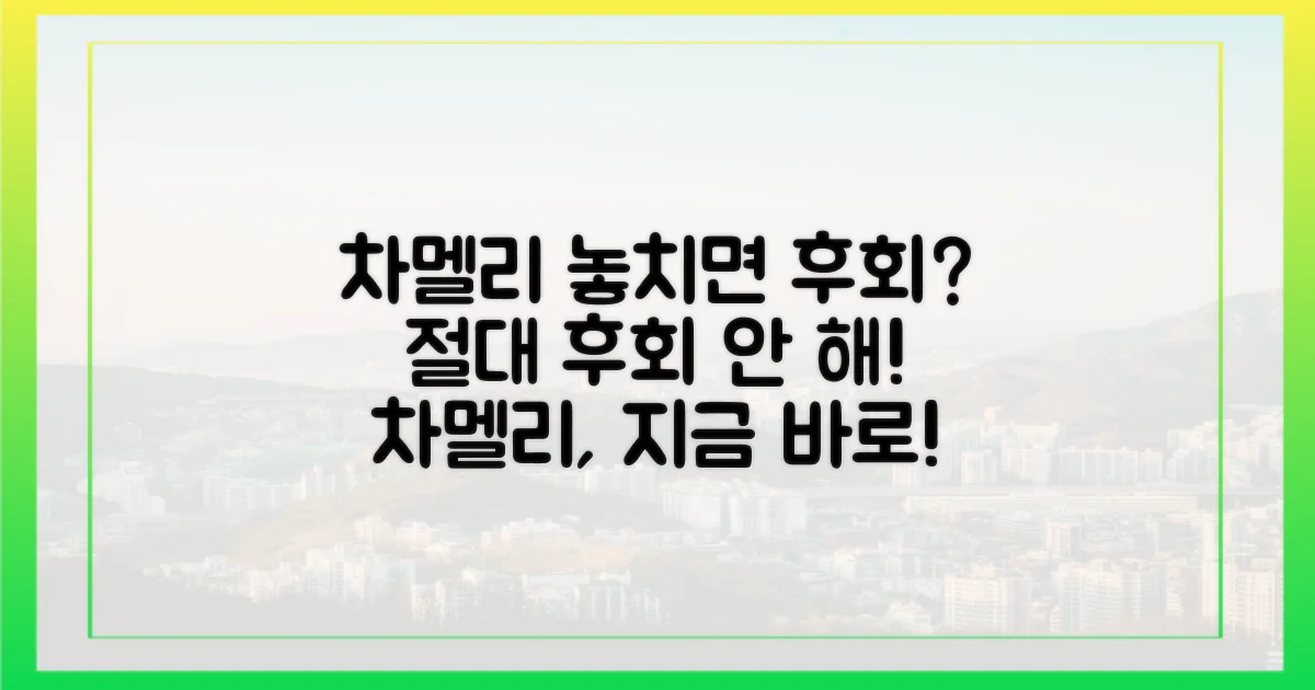 차멜리, 놓치면 후회