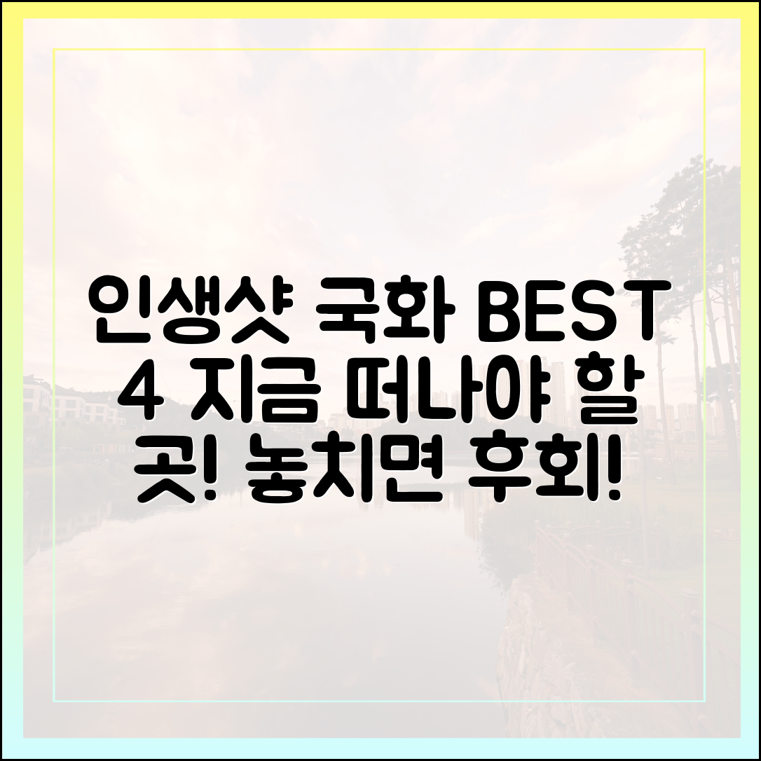 지금 떠나면 인생샷 보장! 국화 명소 BEST 4