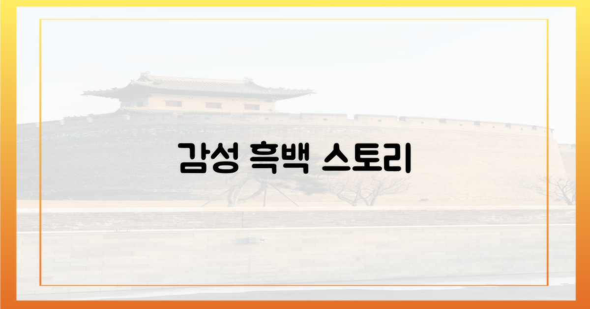 흑백, 감성을 담다
