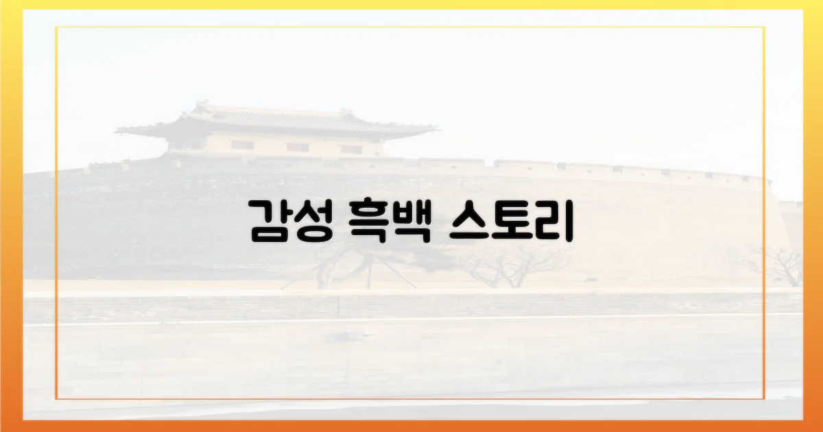 흑백, 감성을 담다