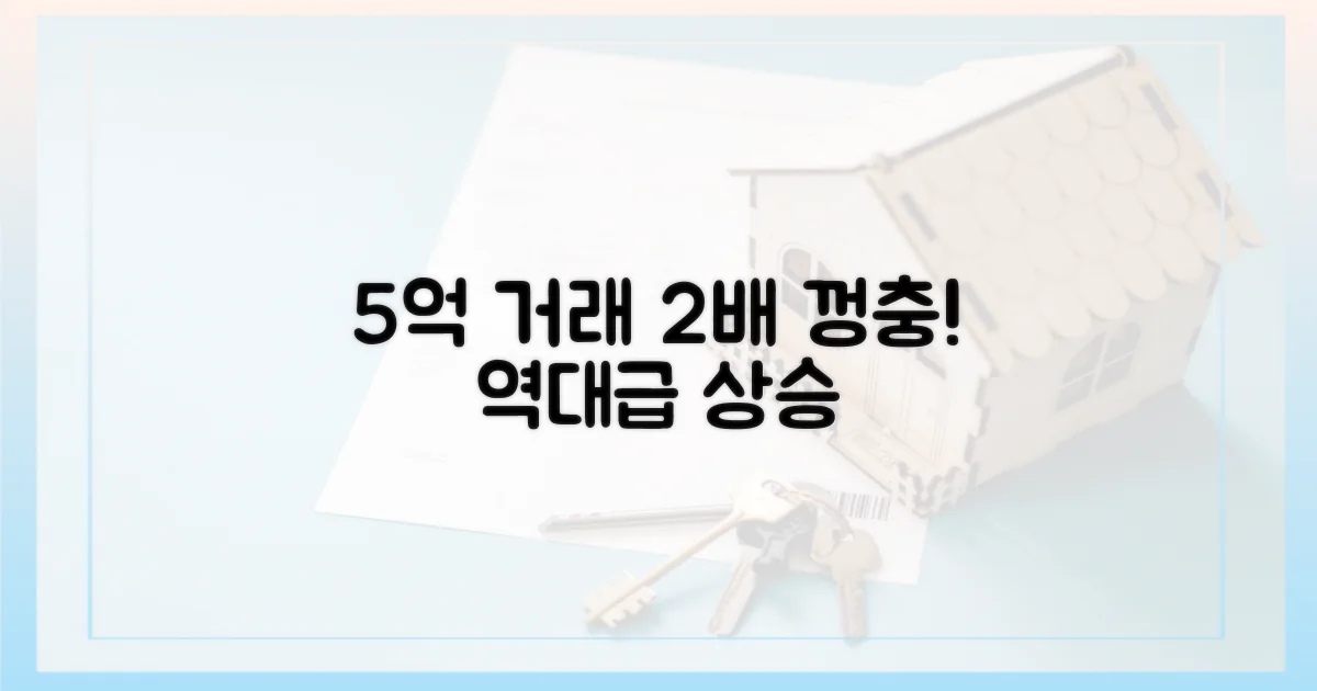 5억 이상 거래, 2배 증가