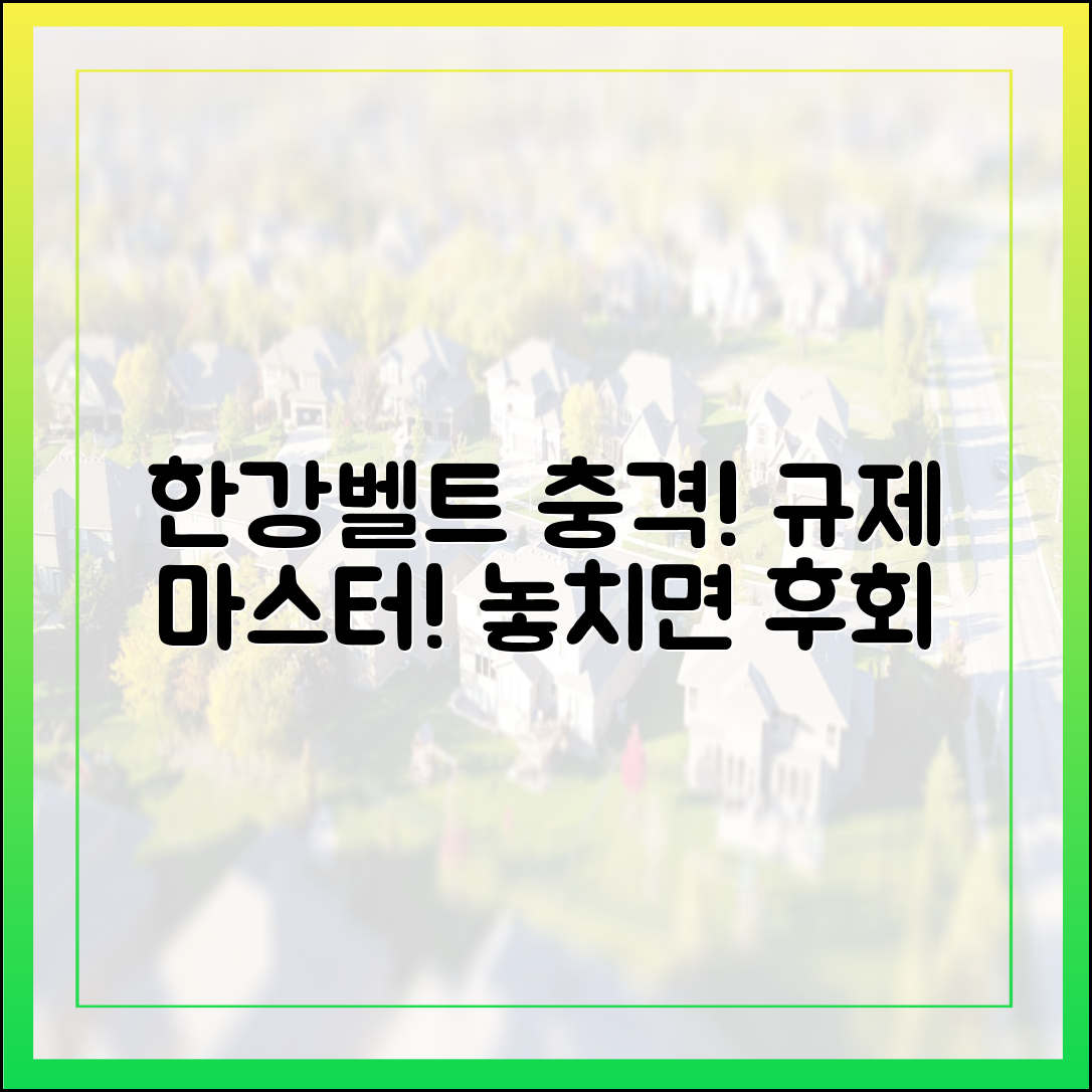 한강벨트 쇼크, 규제 마스터하기