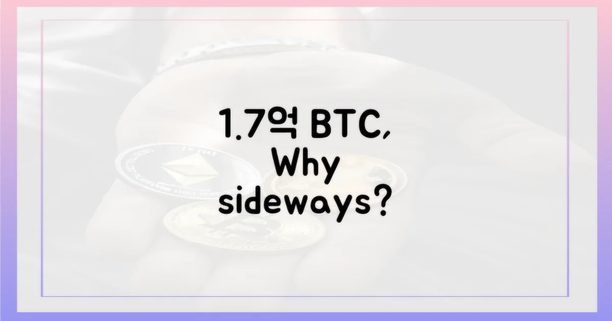 1.7억 비트코인, 횡보 이유?