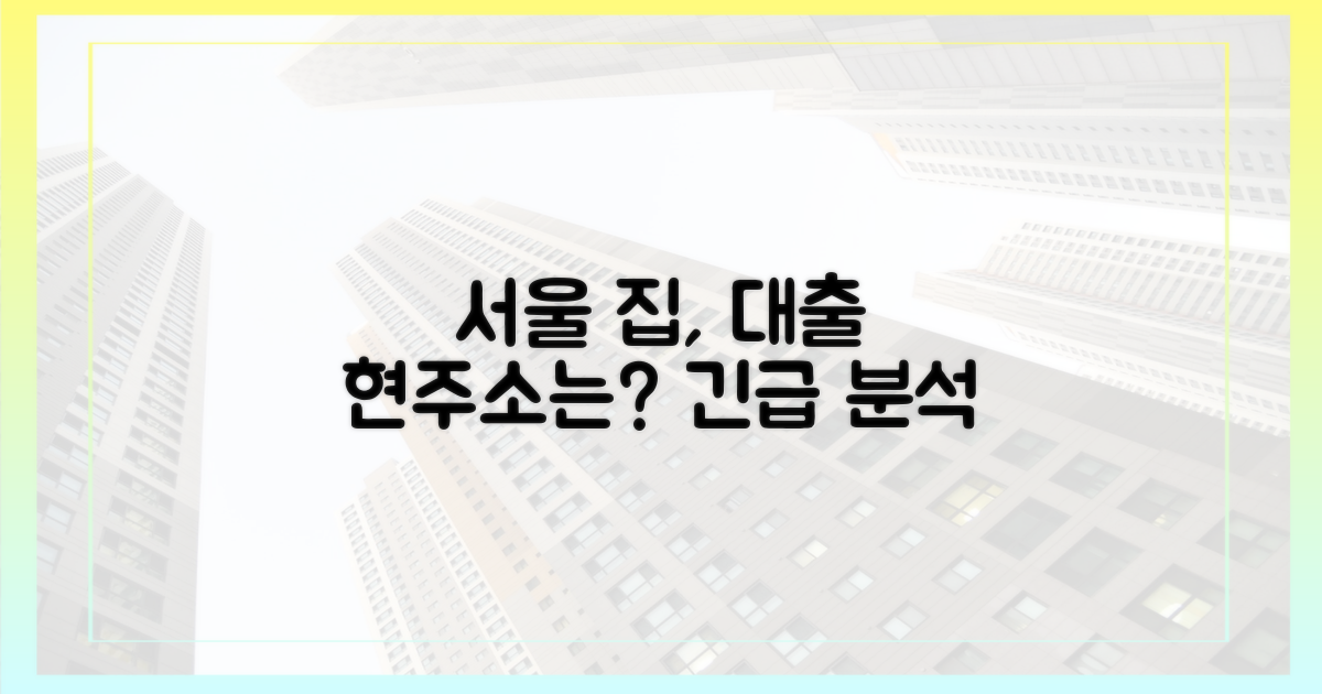 서울 집, 대출 현주소