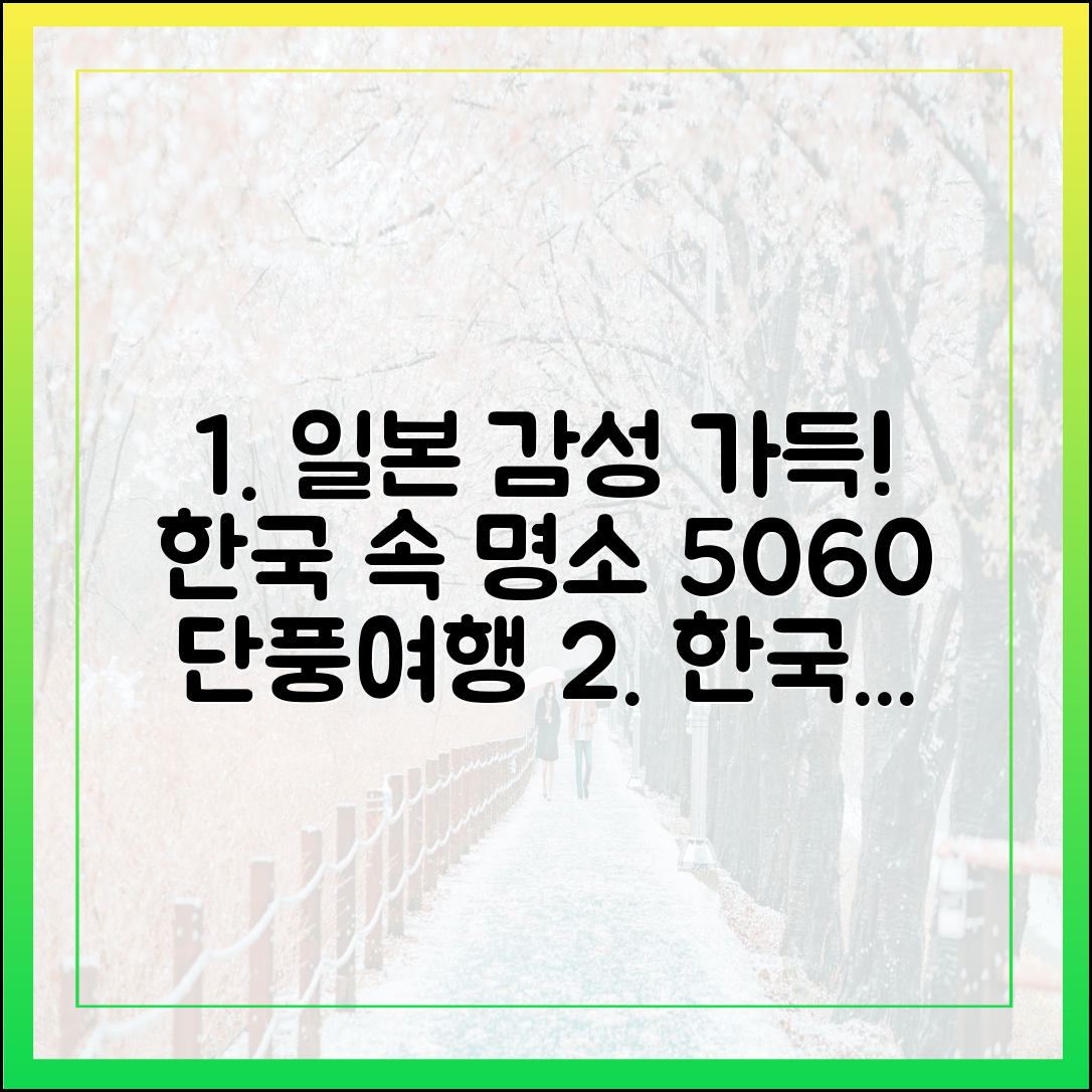 한국 속 일본 명소 완벽 가이드: 5060 단풍여행